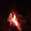 주당풀이 이미지