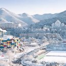 [추억] 1984 여름, 가을을 지나 겨울로.... 이미지