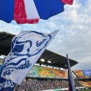 2019 K리그1 서울vs경남 | [2025 K리그2] 30R 수원삼성블루윙즈 vs 경남FC 직관 후기 _ 원하지 않으면 하지 마라