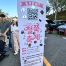 동산자원 | 군포 철쭉축제 개화 현황 수리산역 후기