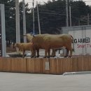 솔향영농조합법인 이미지