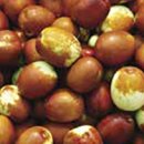 유한농장 이미지