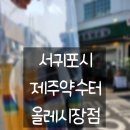 [ 제주도 ] 서귀포시 제주약수터 올레시장점 후기 주차장