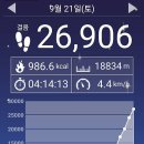 연하굴 이미지