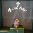 펫존&견생컷 | [애견동반카페] 스타벅스 더 북한강 R점