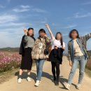 백마강생활체육공원 축구장 이미지