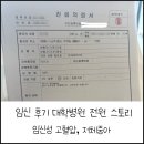 고혈압의 합병증 | [임신일기] 임신 후기 대학병원 전원 스토리 / 저체중아 / 고위험산모 / 임신성 고혈압 / 임신중독증