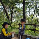고인돌 유아숲체험원 이미지
