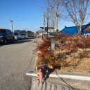 용궁경로당 이미지