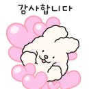 경희대 형제 태권도장 이미지