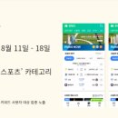 디마기획