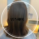 위즈헤어(WIZ)