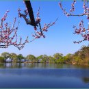 남산반곡지 이미지