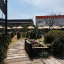 호커스포커스로스터스 | 평택 '호커스포커스로스터스' 방문 후기