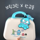 리뷰 | 브링그린 X 한교동 레디백, 네임텍, 헤어핀 후기