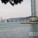 송정탕 이미지