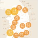 개화-꽃의 노래 이미지