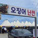속초산오징어