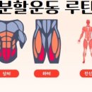 엑스퍼티짐 네이버블로그