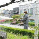 청아공원 이미지