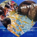 ✨봄나들이 - 대구 아쿠아리움🐠 이미지