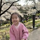 에어로빅(야간) | 서울 서대문 벚꽃명소 홍제폭포 홍제천 봄빛축제 안산허브원 벚꽃길 야간 구경 후기