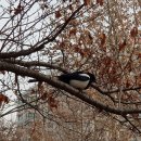 대월놀이공원 이미지