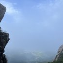 남해산장 티스토리