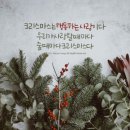 에반스그래피