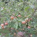 구룡부동산중개 이미지