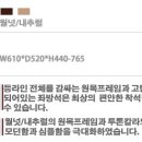 자작나무호텔 이미지