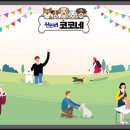 상신리코코네 이미지