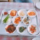 나담생고기&탕