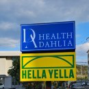 헬스 달리아 이미지