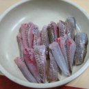 탐라물회 Daum카페
