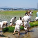 그냥 심심해서요. (28835) 농요 주고받으며 풍년 기원 이미지