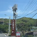 가야-9 이미지