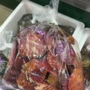 자곡 정육점 이미지