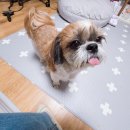 로미한의원 이미지