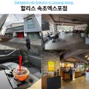 화니커피 | 속초 할리스 엑스포점 청초호 드라이브 코스 커피 포장 후기