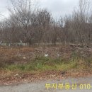 소향보건진료소 이미지