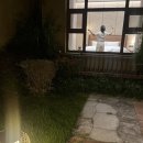 바른정보 | 샤먼 3박4일 바른투어 패키지 여행 후기!(11월 날씨 정보)