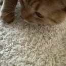 오랜만에 이미지