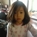 오감만족동태찌개 이미지