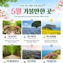 한우리독서토론논술 네이버블로그