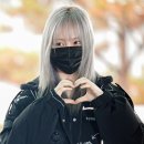 리즈라이프 이미지