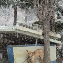 오리산더미 김천점 이미지