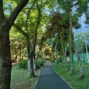 인형의 거리(뱀) 이미지