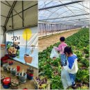 은진농장 이미지