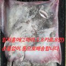 임여사수산 이미지